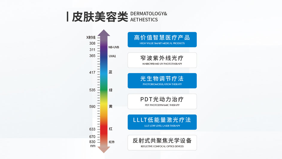 皮肤美容类