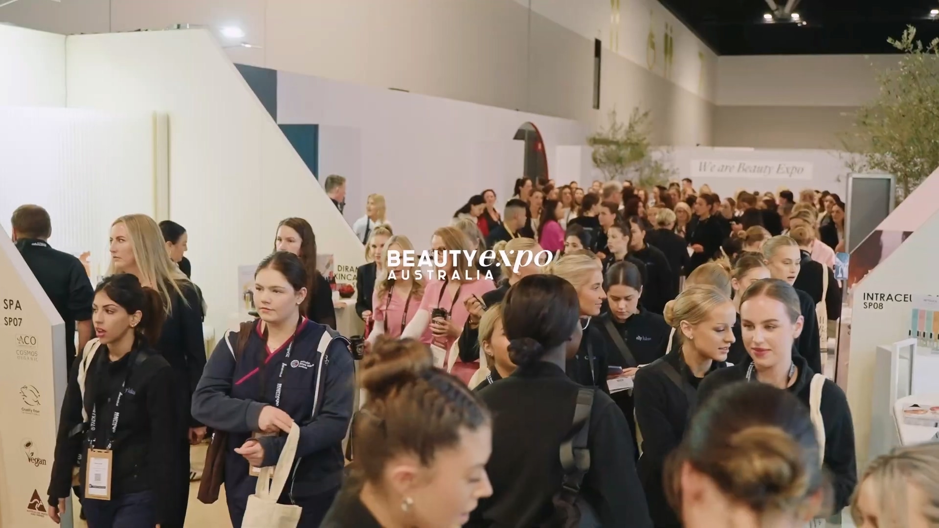 videoplayback (1).mp4_20251231_113726.059.jpg