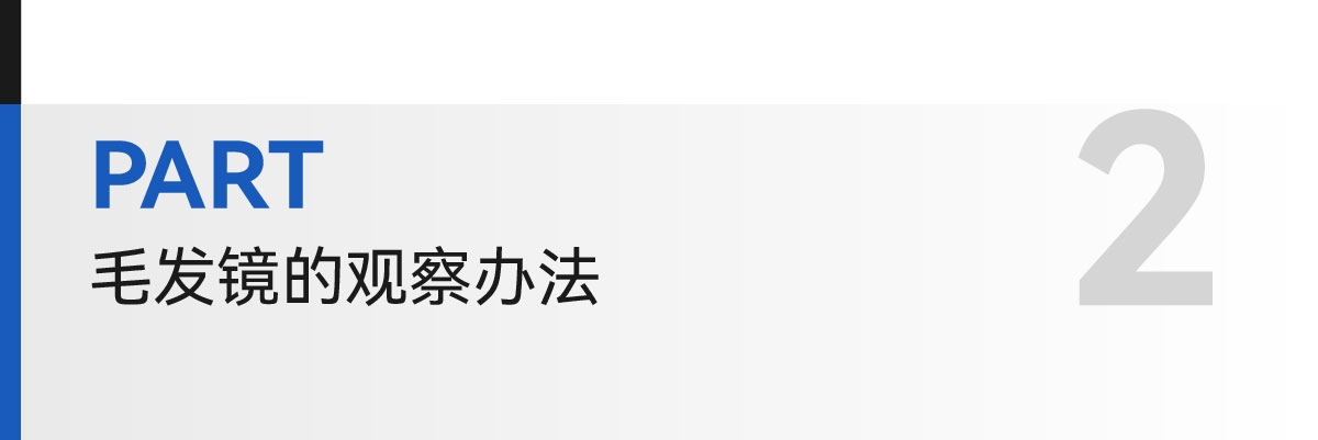 学术模板-04.jpg