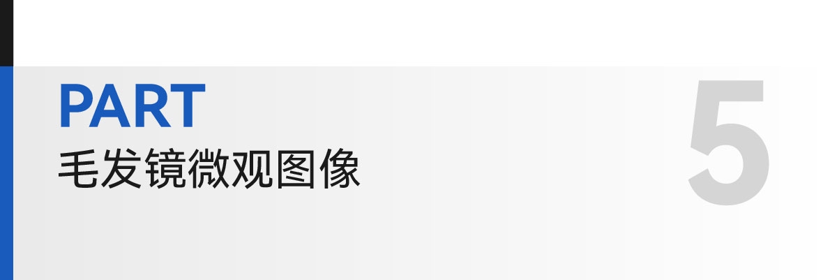 学术模板-07.jpg