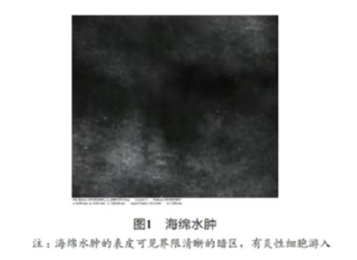 文章图片-02.jpg