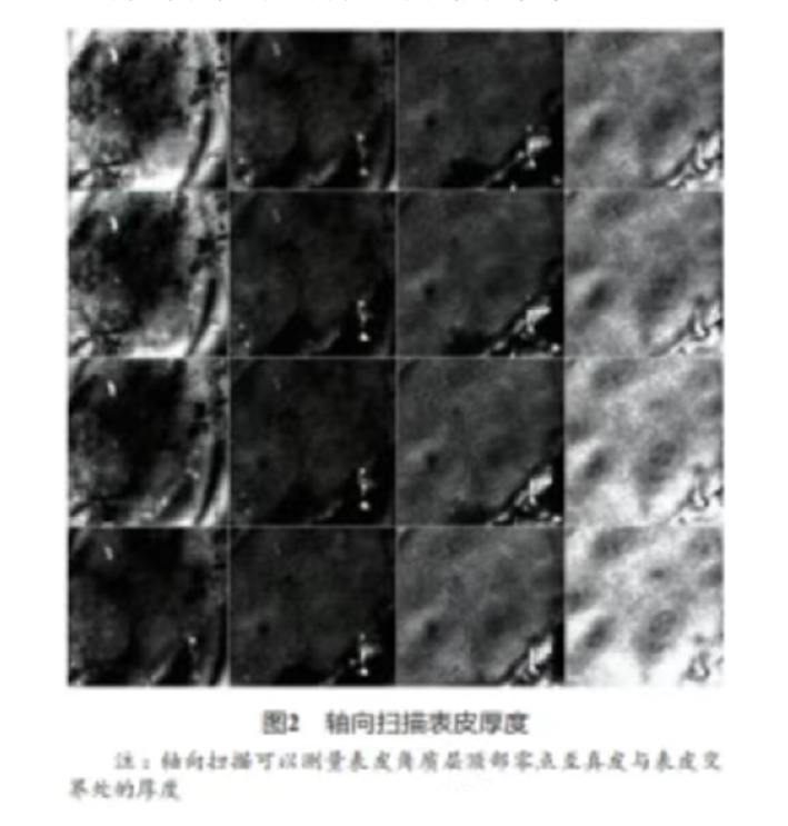文章图片-03.jpg