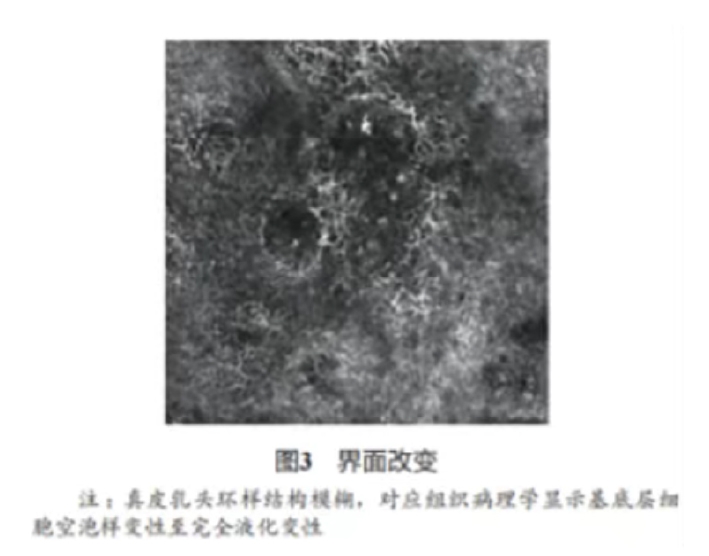 文章图片-04.jpg