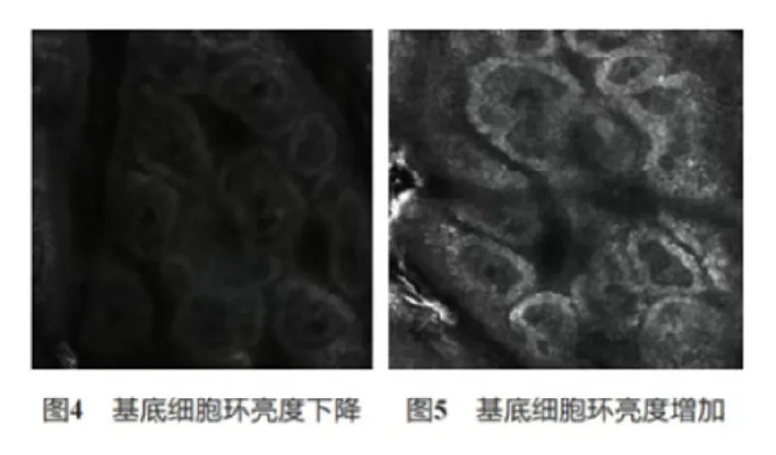文章图片-05.jpg