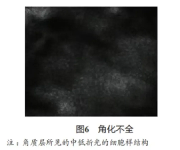 文章图片-06.jpg