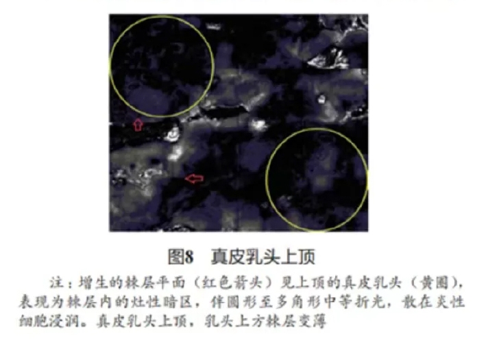文章图片-08.jpg