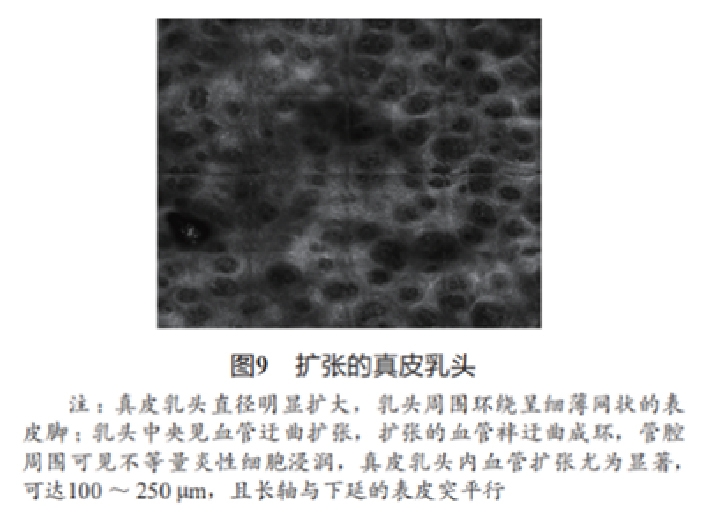 文章图片-09.jpg