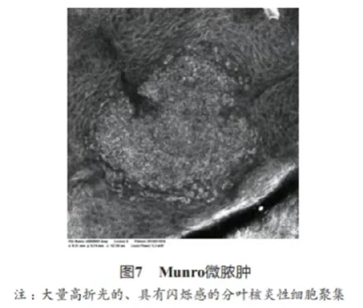 文章图片-07.jpg
