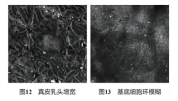 文章图片-12.jpg