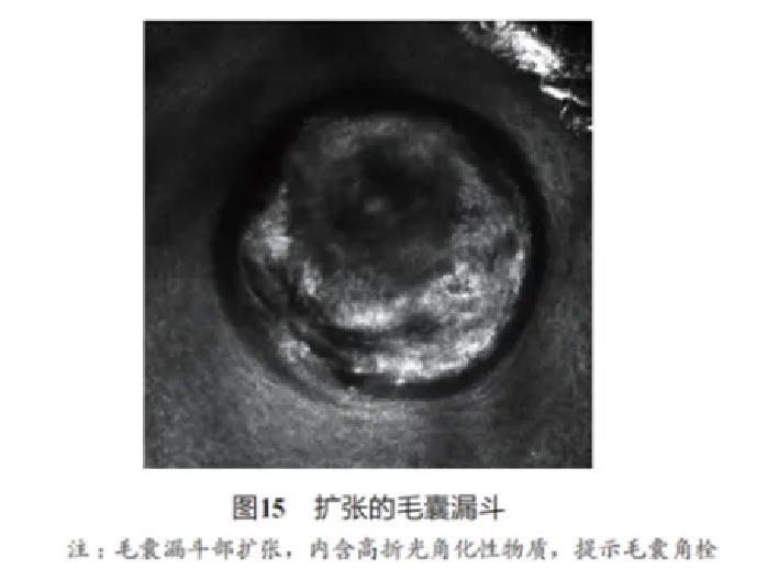 文章图片-14.jpg