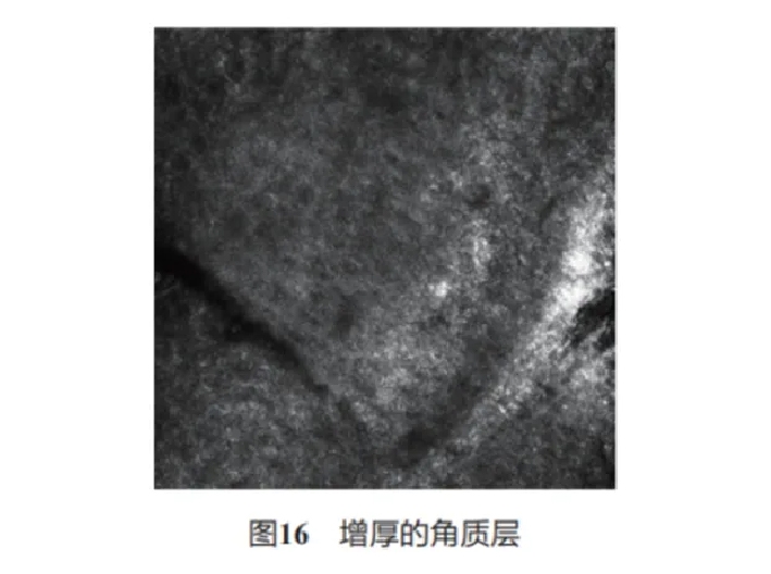 文章图片-15.jpg