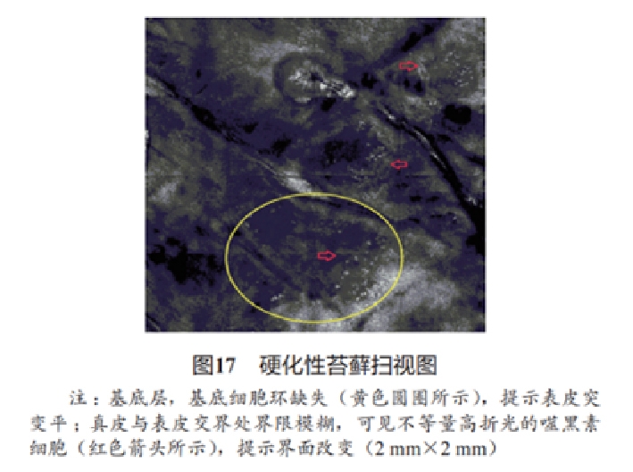 文章图片-16.jpg
