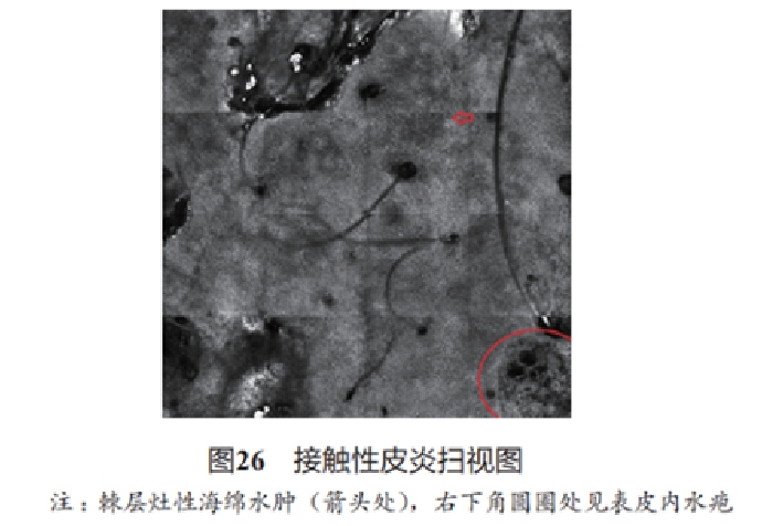 文章图片-25.jpg