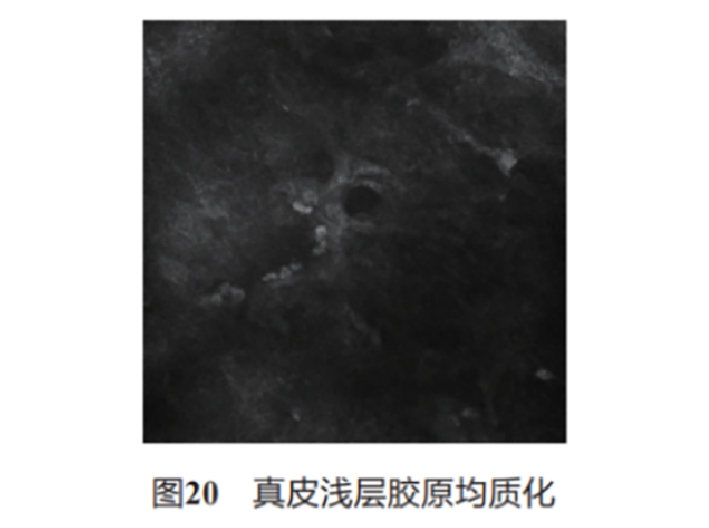 文章图片-19.jpg