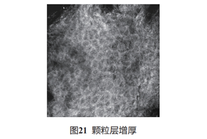 文章图片-20.jpg
