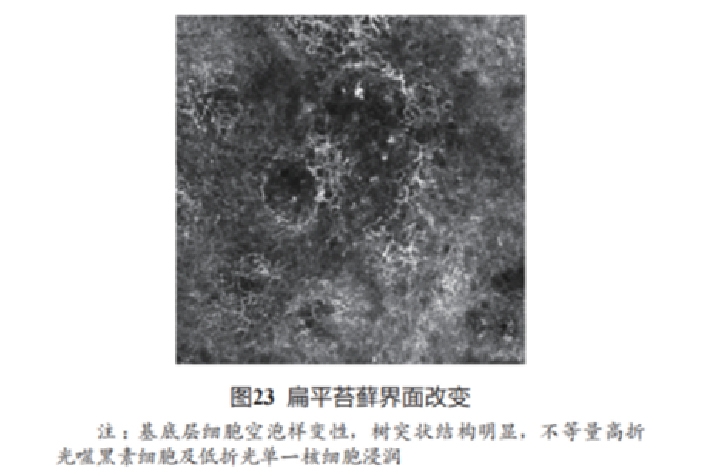 文章图片-22.jpg
