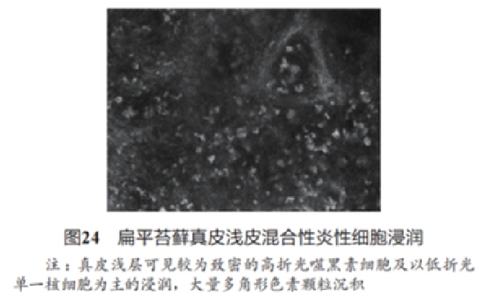 文章图片-23.jpg