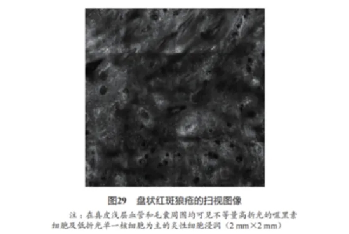 文章图片-26.jpg