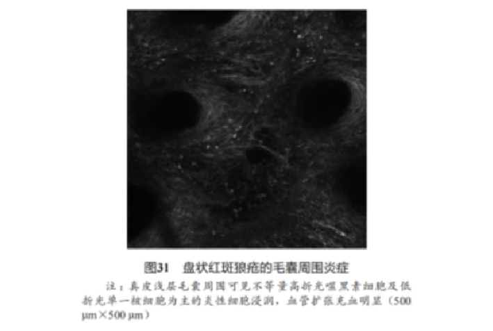 文章图片-28.jpg