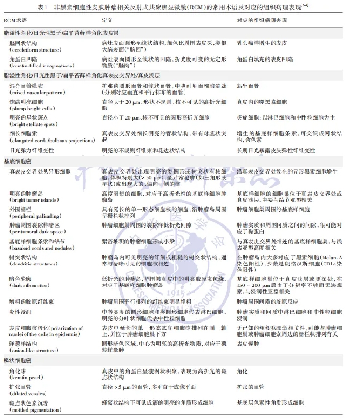 学术前沿丨常见非黑素细胞性皮肤肿瘤的反射式共聚焦显微镜特征专家共识（2025版）-02.jpg