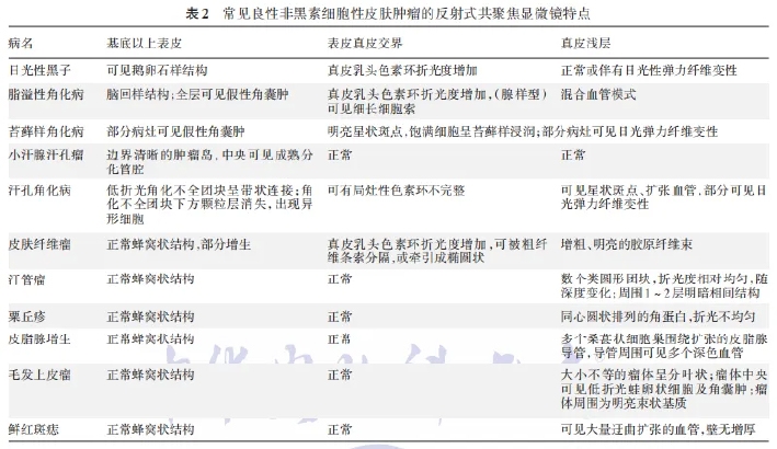 学术前沿丨常见非黑素细胞性皮肤肿瘤的反射式共聚焦显微镜特征专家共识（2025版）-03.jpg