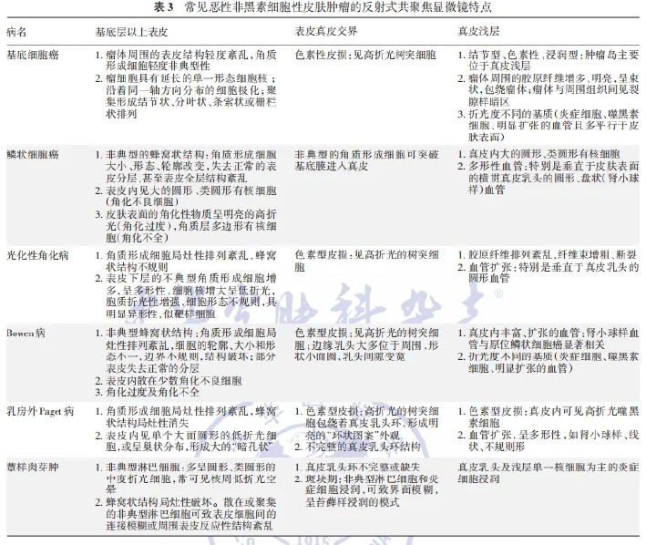 学术前沿丨常见非黑素细胞性皮肤肿瘤的反射式共聚焦显微镜特征专家共识（2025版）-14.jpg